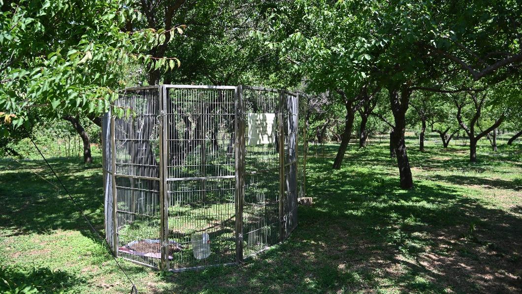 校方今增設圍捕片加速誘捕流浪犬。（圖／清大提供）