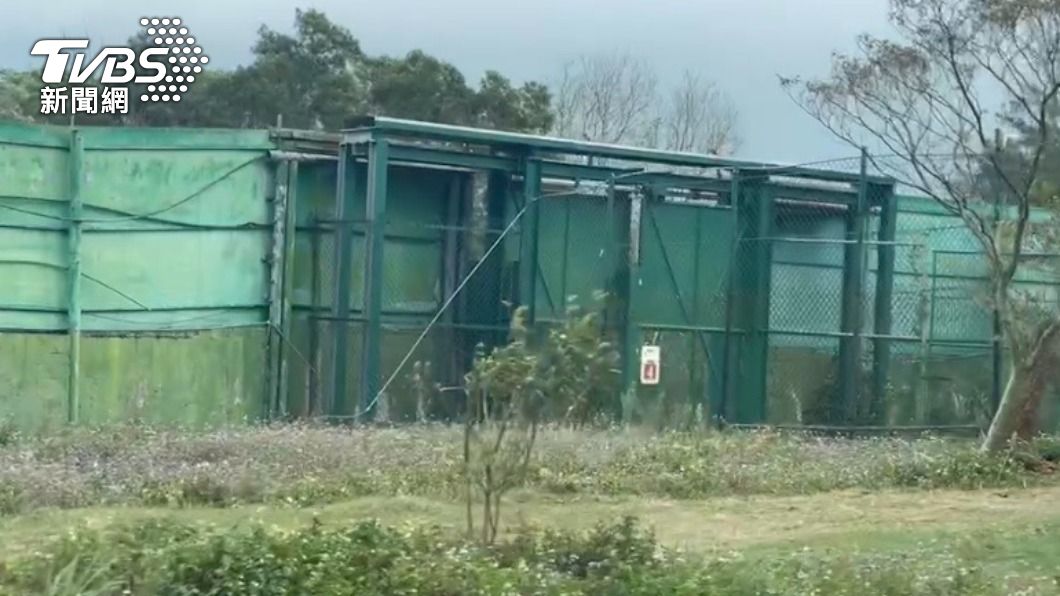 園區內每個肉食動物的展區中間都設有緩衝區。(圖/TVBS)