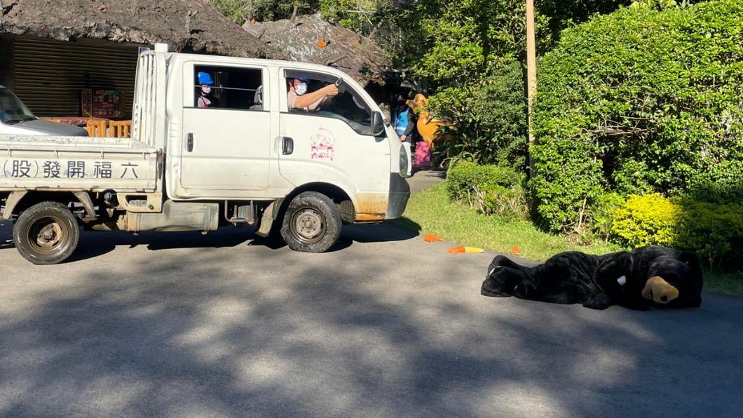 狒狒還在逃!北市動物園、六福村都曾做「防逃演練」
