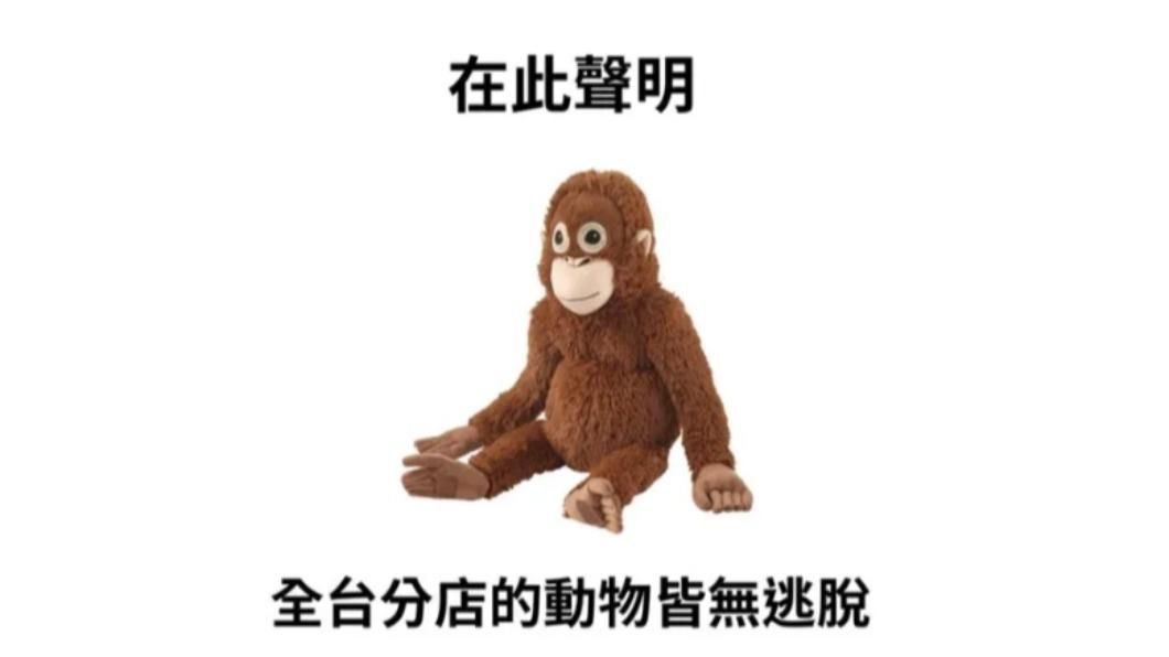 全民找竄逃狒狒!IKEA跟風發聲明 網笑:小編加薪