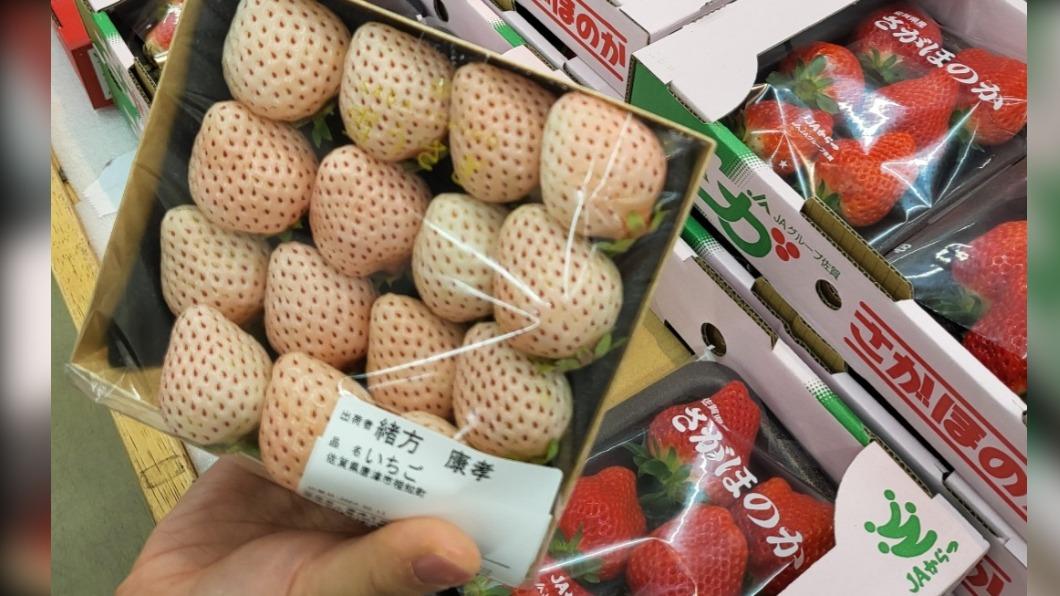 佐賀牛.白草莓.比臉大仙貝 日本佐賀吃吃走走快樂遊