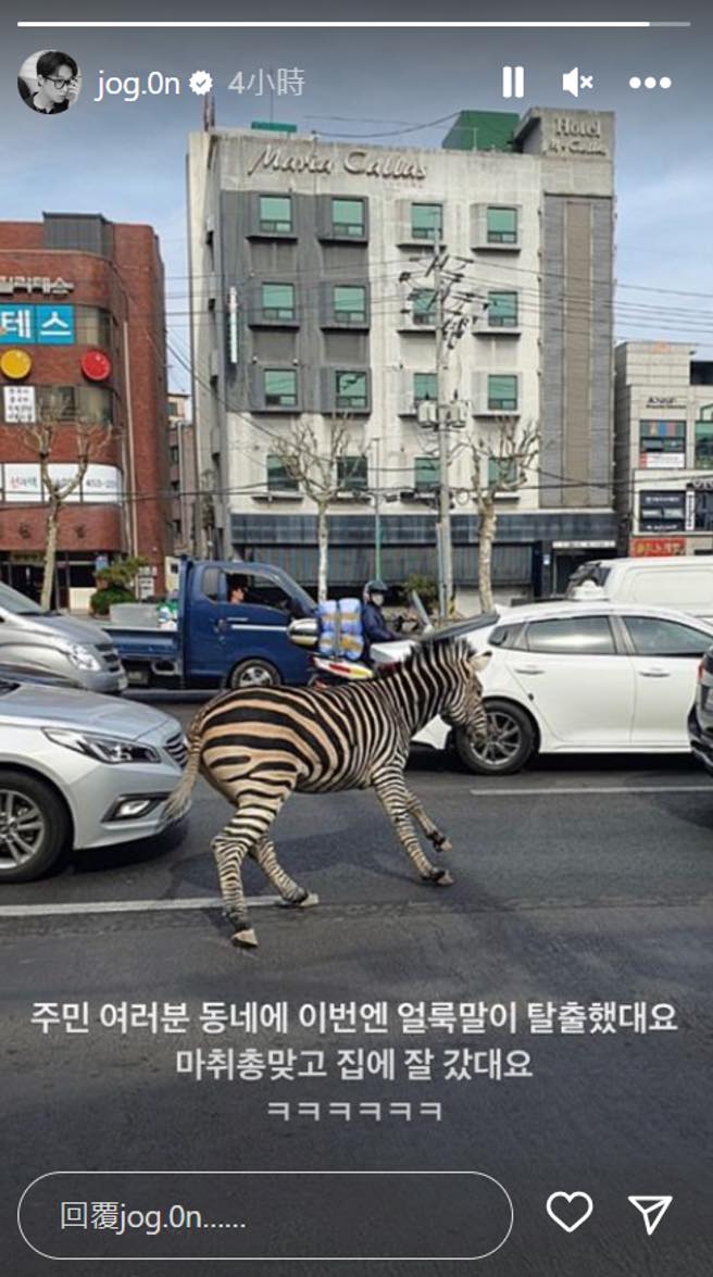 趙坤昨日在IG限時動態曬出斑馬逃竄畫面。(圖/翻攝趙坤IG)