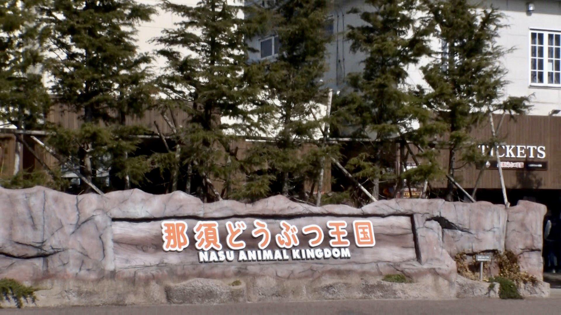那須動物王國對春日俊彰的行為發出嚴正抗議。(圖/翻攝自ntv_sukkiri推特)