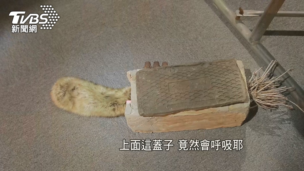 圖／TVBS 