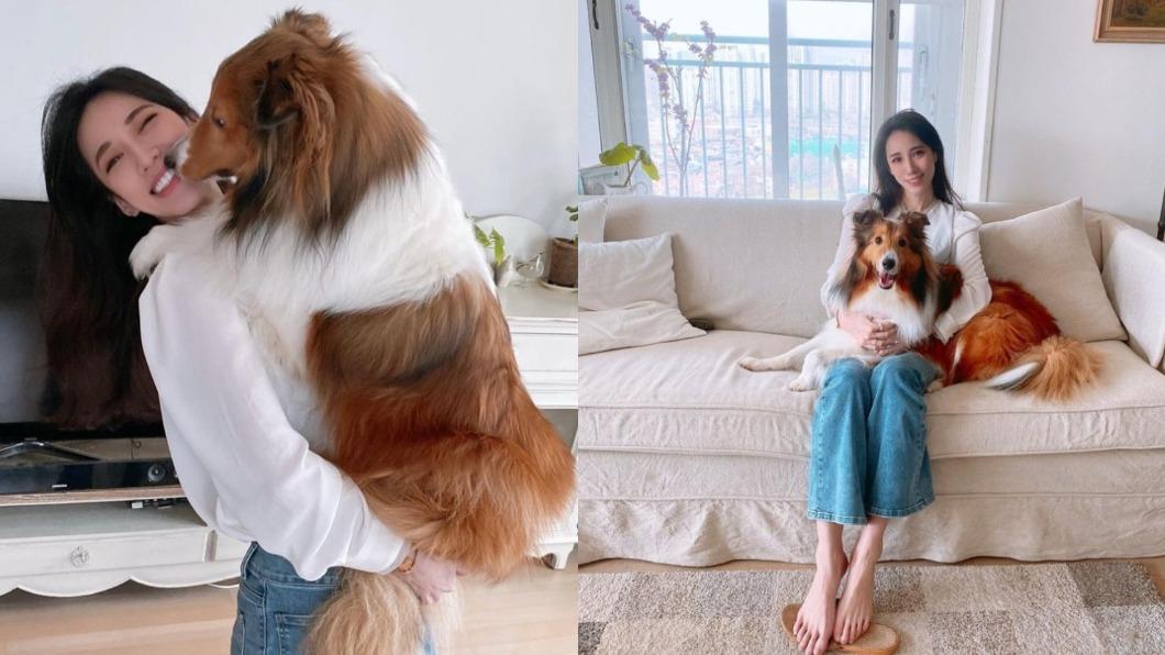 1個月前才抓包約會!瑤瑤飛南韓看愛犬 IG洩回前男友家