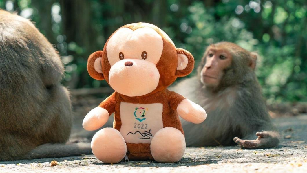 逃脫N天!清點靈長類 壽山動物園:吃好睡好還夠「狒」