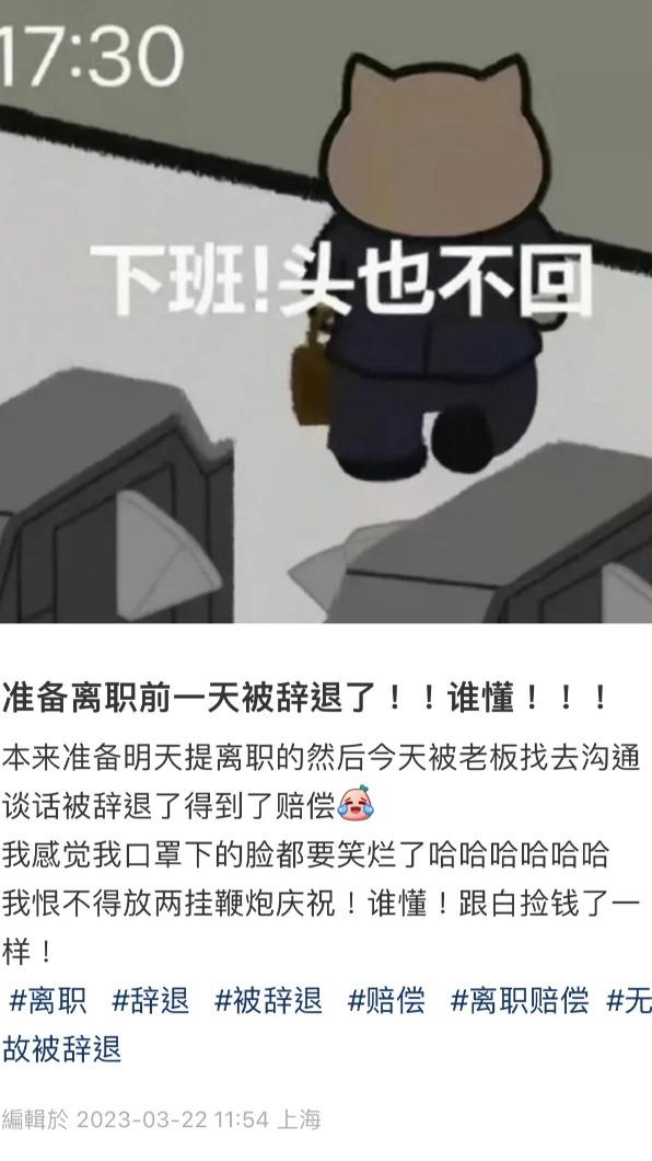 網友離職前遭老闆辭退。(圖/翻攝自當事人小紅書)