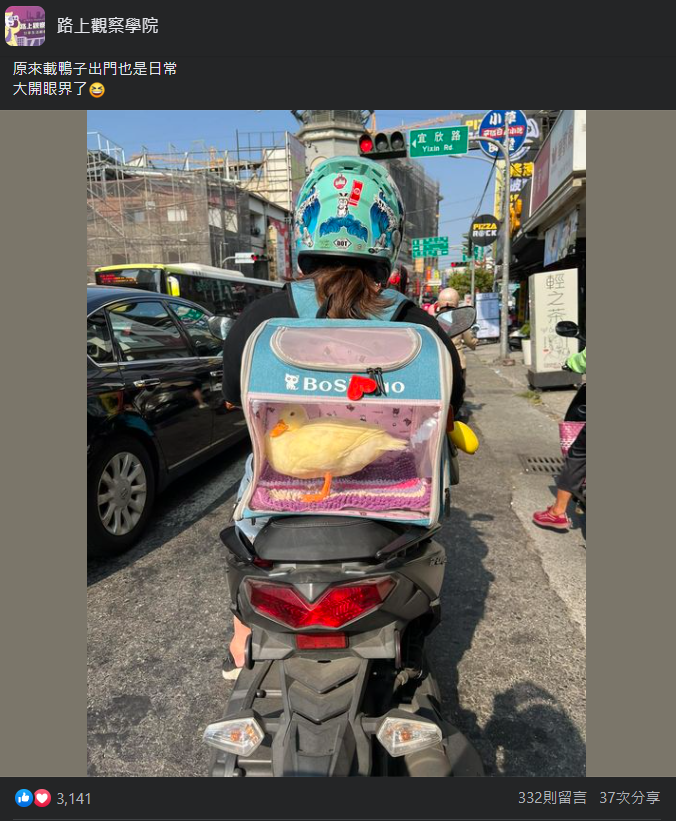 (圖/翻攝自路上觀察學院臉書)