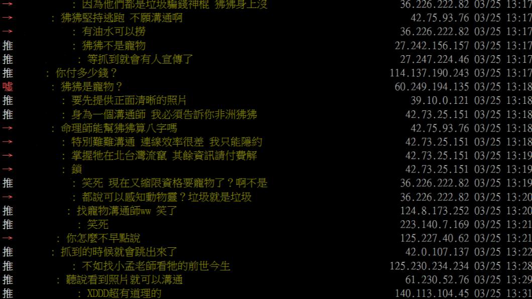 鄉民非常認真地為狒狒著想。(圖/翻攝自PTT)