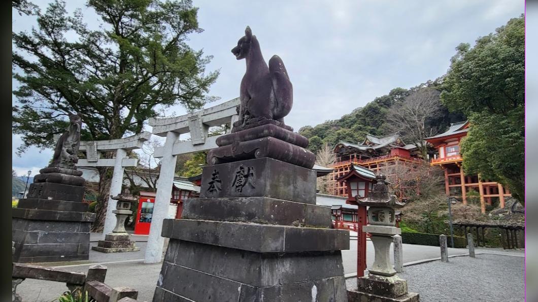 狐狸是稻荷神社的使者。( 圖 / TVBS )