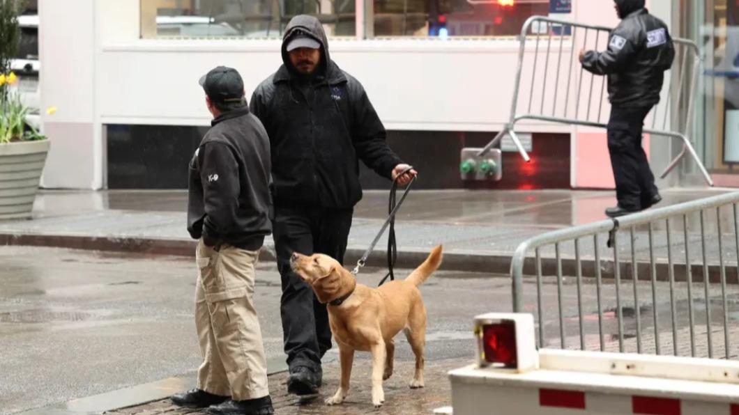 警犬聞到爆裂物!拆彈小組急出動 一看只是「老鼠糞便」