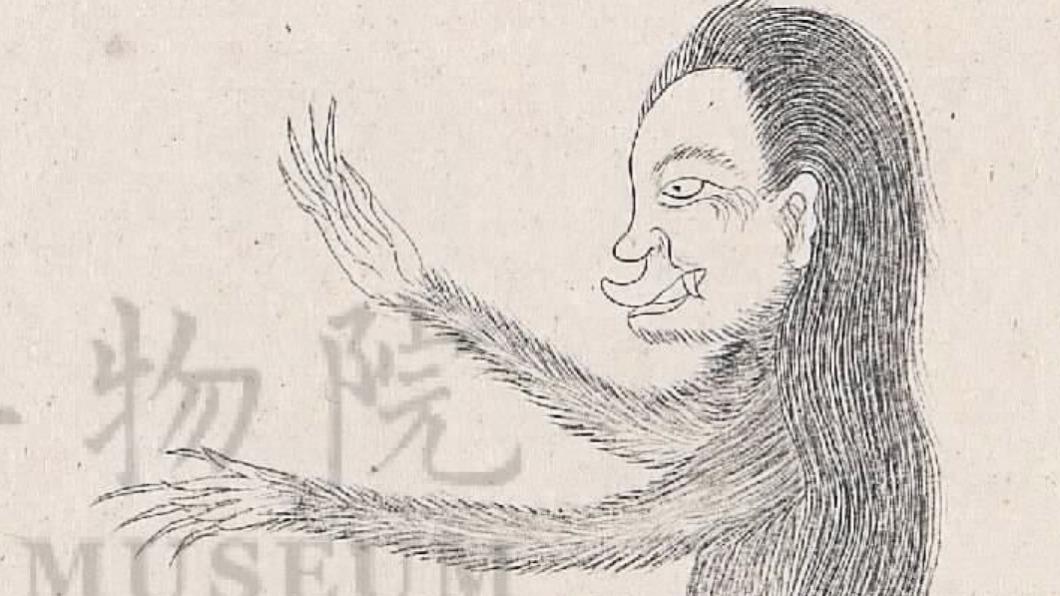 眾小編都輸了!故宮曝本草綱目早就發過「狒文」和「狒圖」