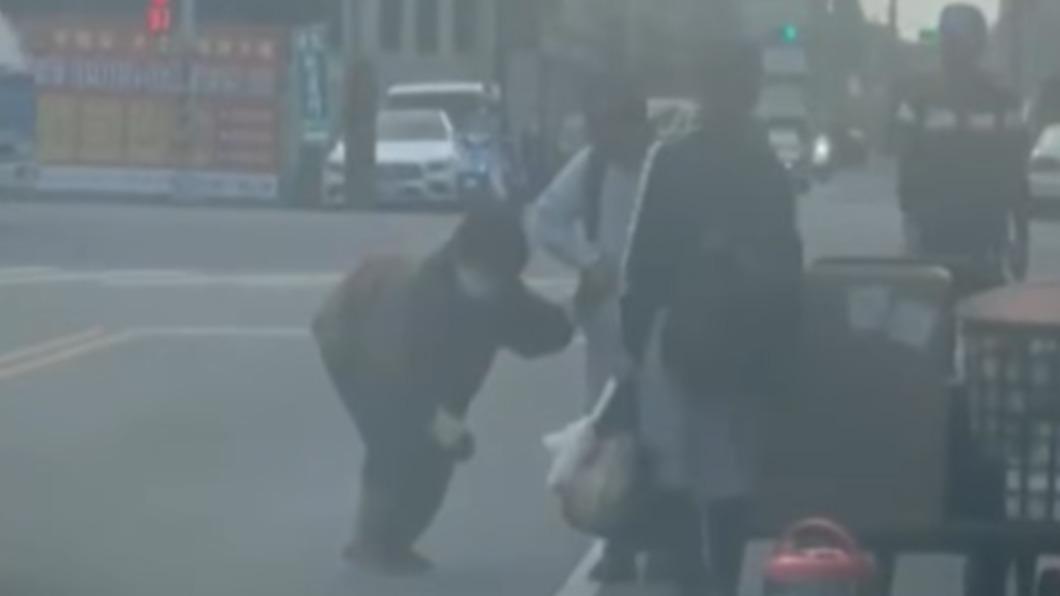 另1名小球員協助把推車推到對向。（圖／翻攝自台中市大雅區上楓國小棒球隊臉書）