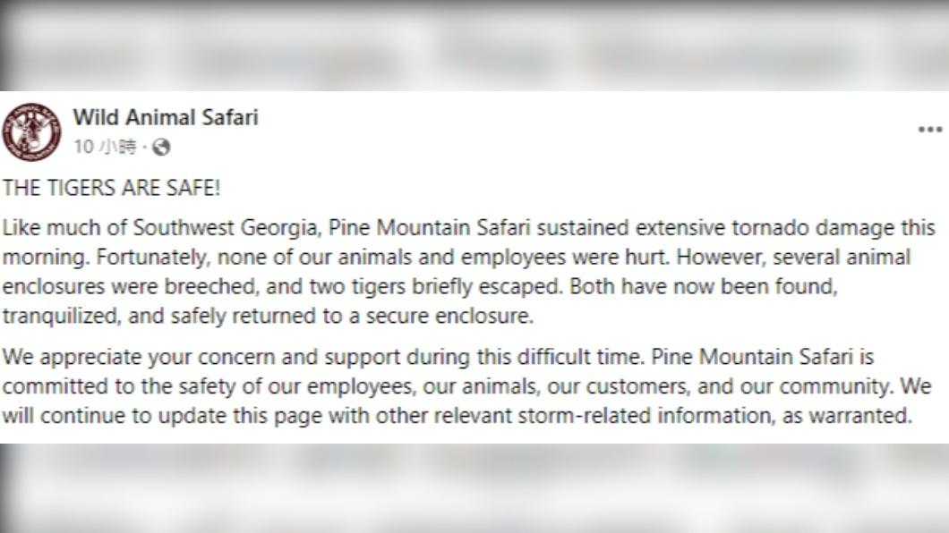 動物園發布聲明指老虎安全,麻醉後已安全的送回籠中。(圖/翻攝自 FB@Wild Animal Safari)