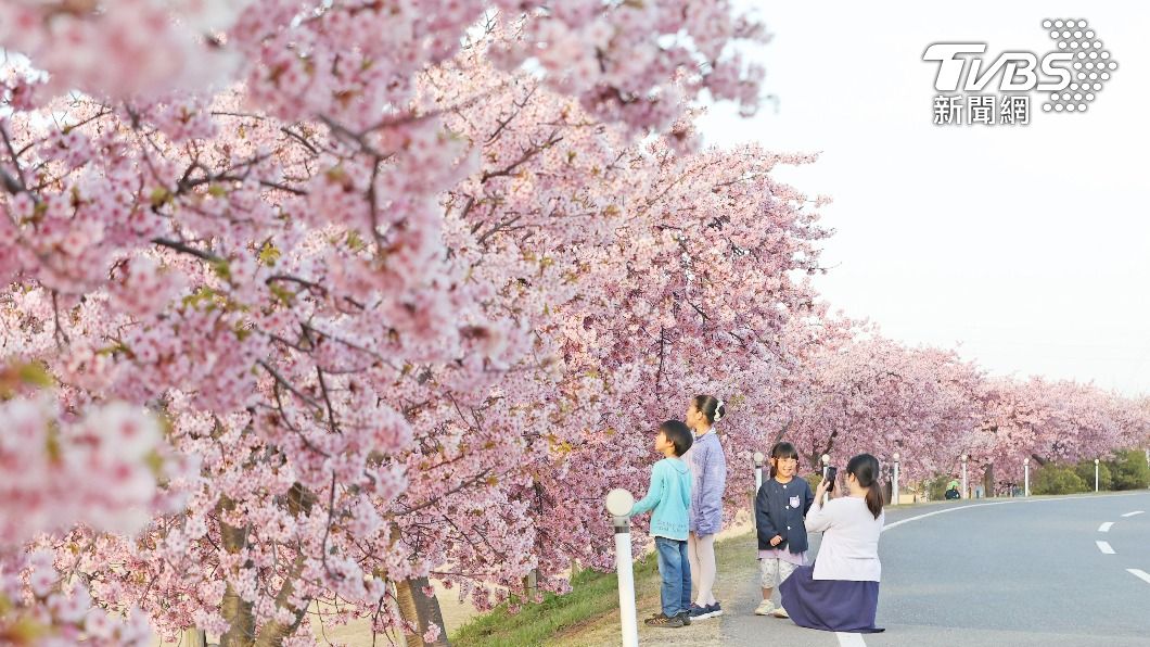 櫻花盛開又逢歐美長假 日本3月旅客數創新高、台灣第二名
