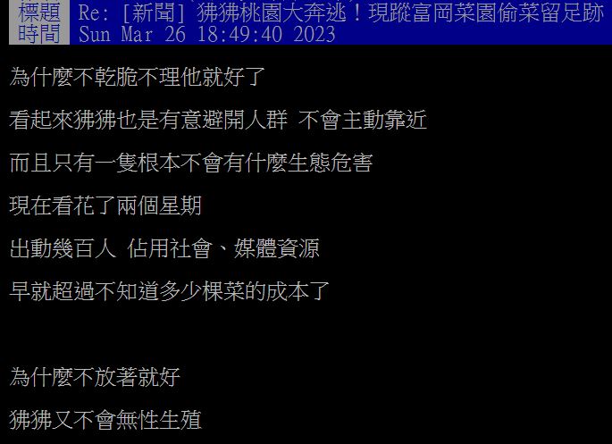 原PO發文詢問,為何不直接不理東非狒狒?(圖/翻攝自PTT)