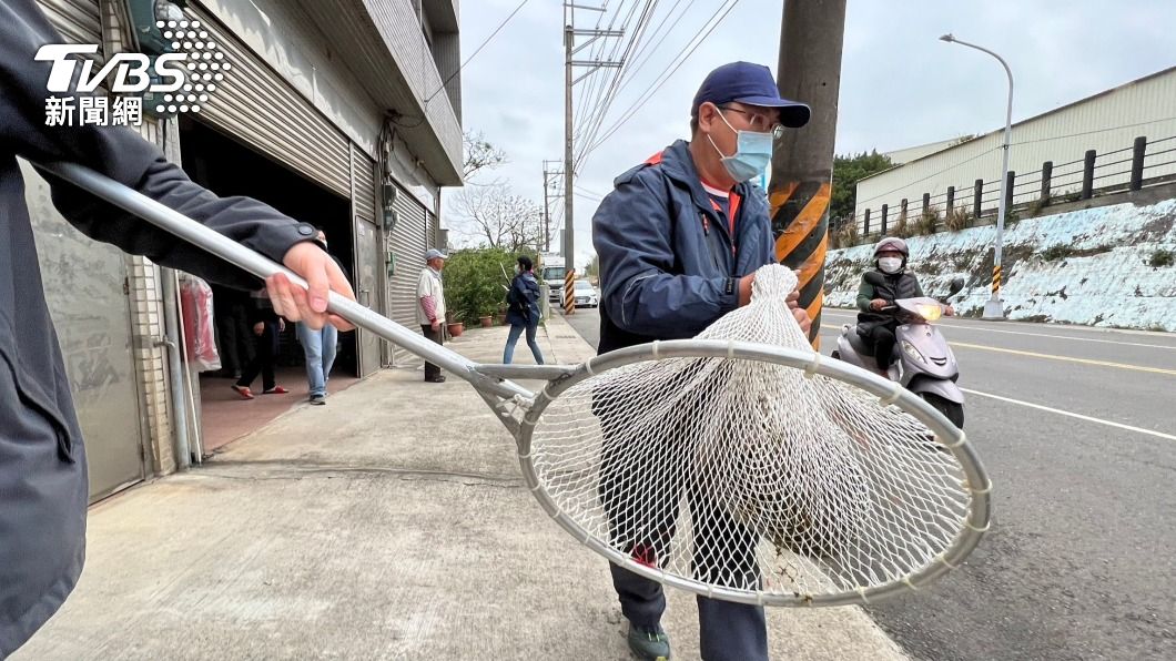怒火「狒」騰!網不捨狒狒遭槍殺 群起哀悼:人類太可惡