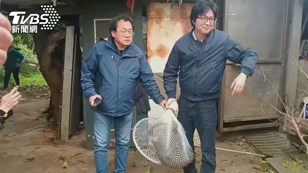 早心裡有鬼?里長揭「六福村1舉動」洩端倪:狒狒一看就他們的