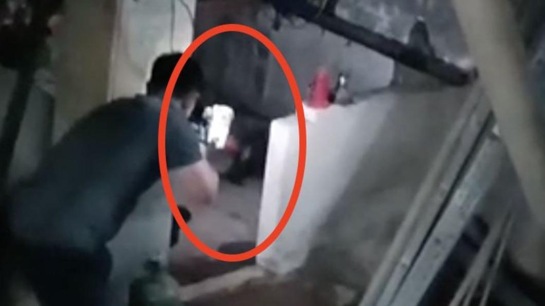 畫面曝光!獵人先開1槍狒狒逃民宅 農業局「再補刀」麻醉針