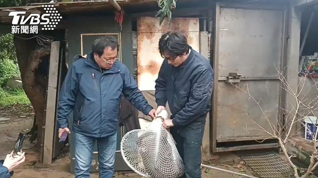 狒狒被捕後忙拍照!他怒轟農業局「殘忍又噁心」:活活被玩死