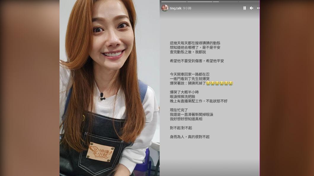 邵庭經常關注動保議題,昨日聽聞狒狒死訊後,接連在社群網站發聲。(圖/翻攝自邵庭IG)