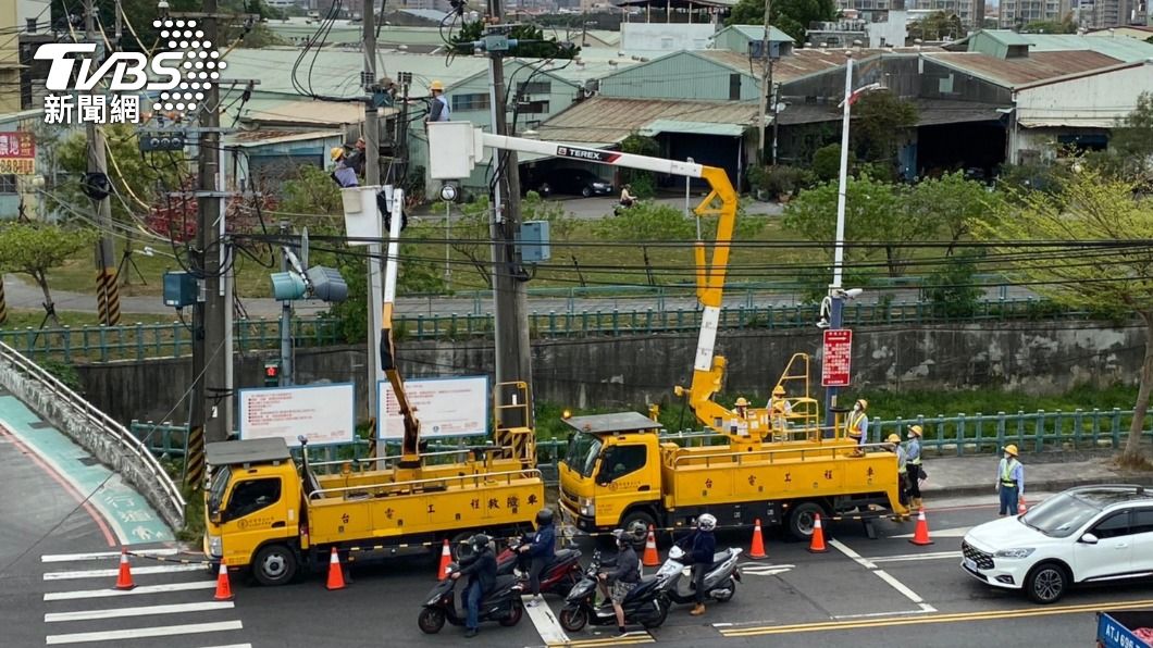 幫鳥寶寶找新家! 喜鵲「起厝」怕停電 台電幫搬家