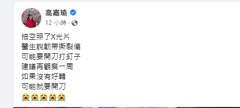 民進黨立委高嘉瑜透露恐開刀。(圖/翻攝高嘉瑜臉書)