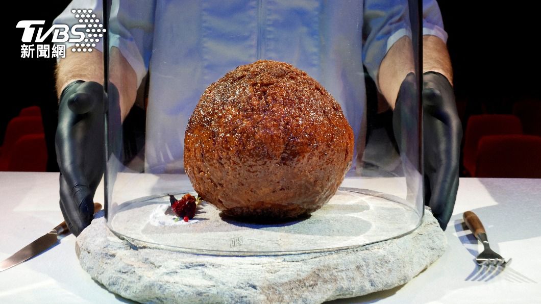 遠古美味?提長毛象DNA做「史前肉丸」 科學家不敢吃