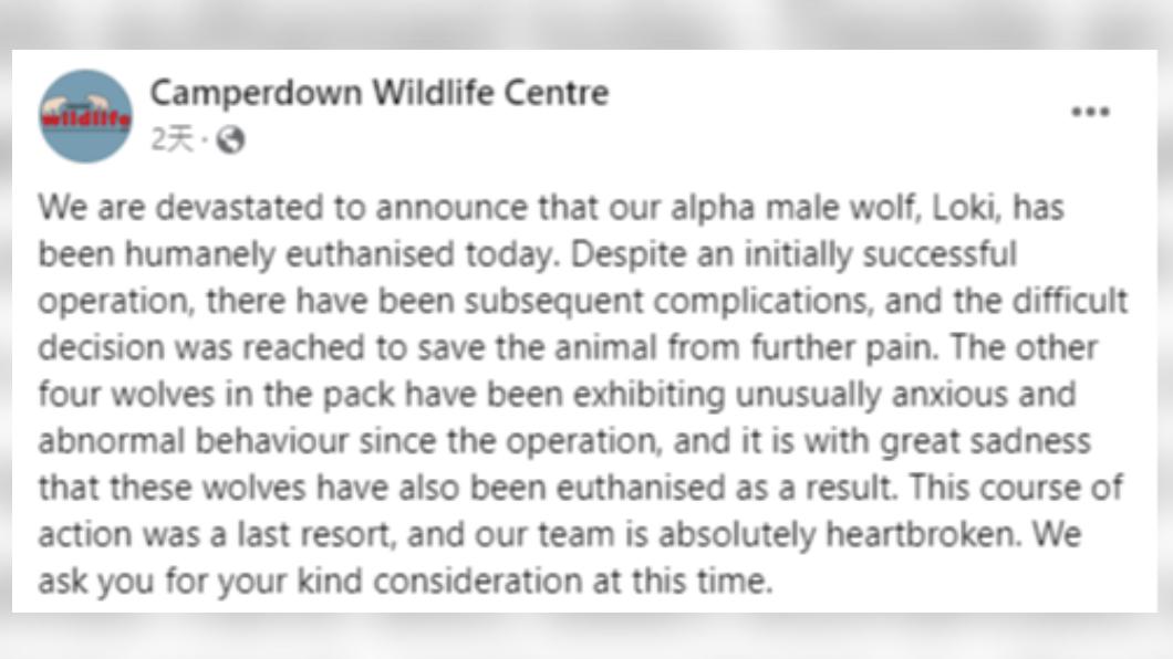 園方宣布狼隻遭到安樂死的消息。(圖/翻攝自Camperdown Wildlife Centre FACEBOOK)