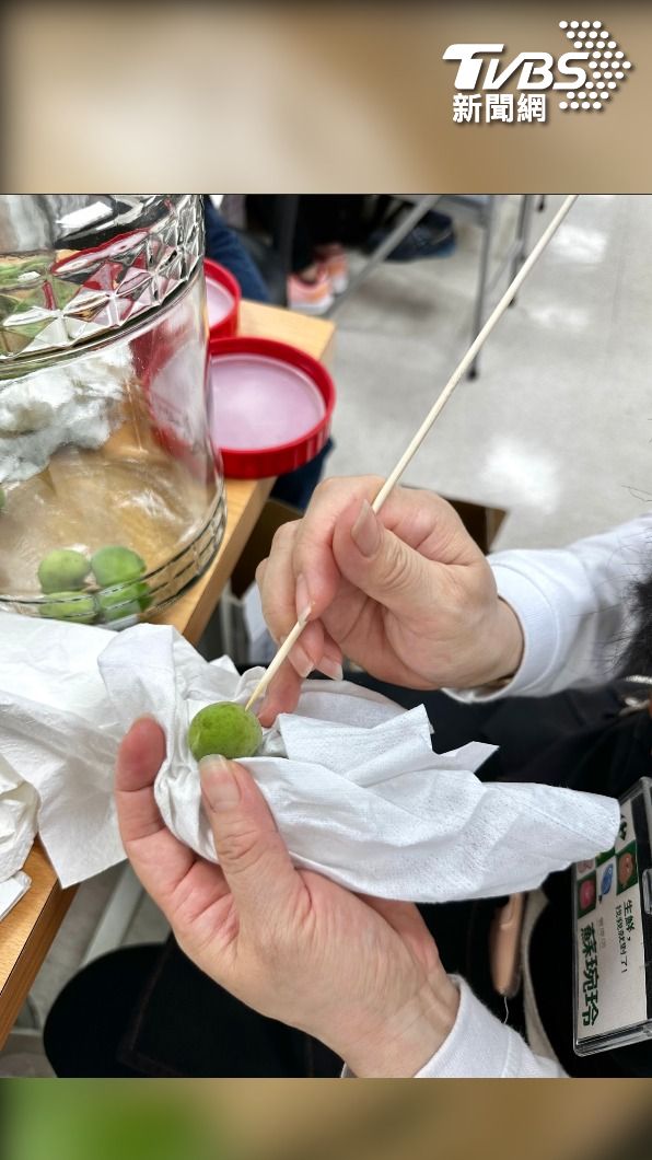雨少影響青梅品質 高市府結合業者推DIY課程助銷售 記者 何宜信/翻攝