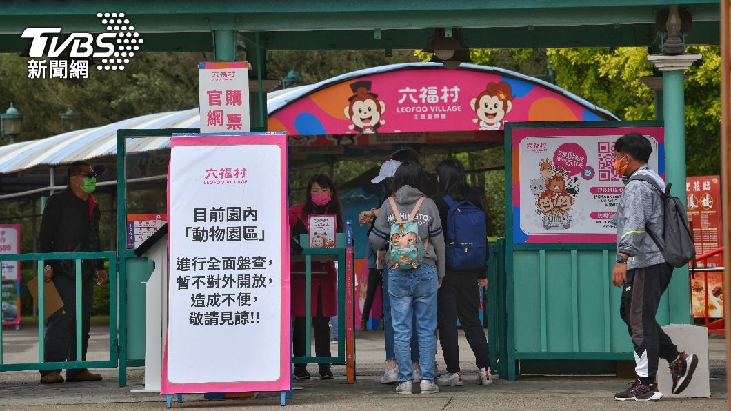 狒狒之死抵制六福村?遊覽車停滿滿 遊客大手拉小手等入園