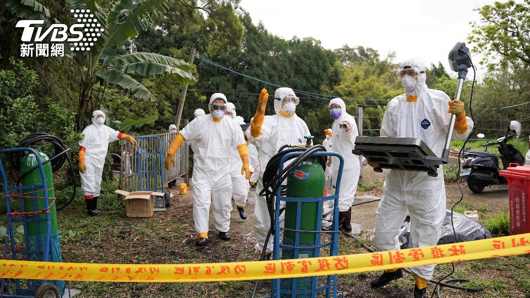 養禽場313隻雞全面撲殺。(圖/新竹縣政府提供)
