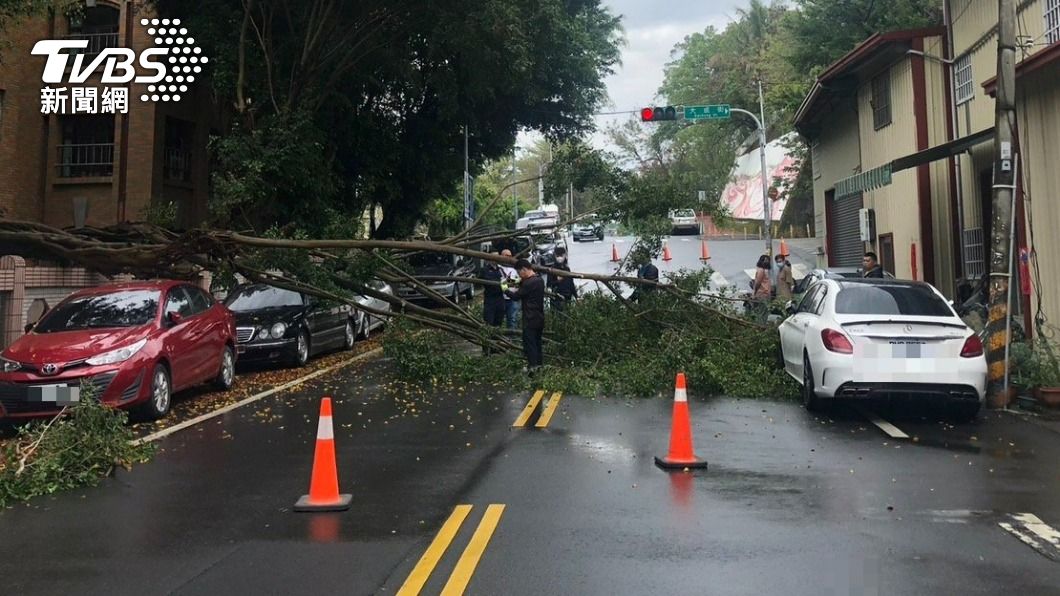 車主看到整個傻爆眼。(TVBS)