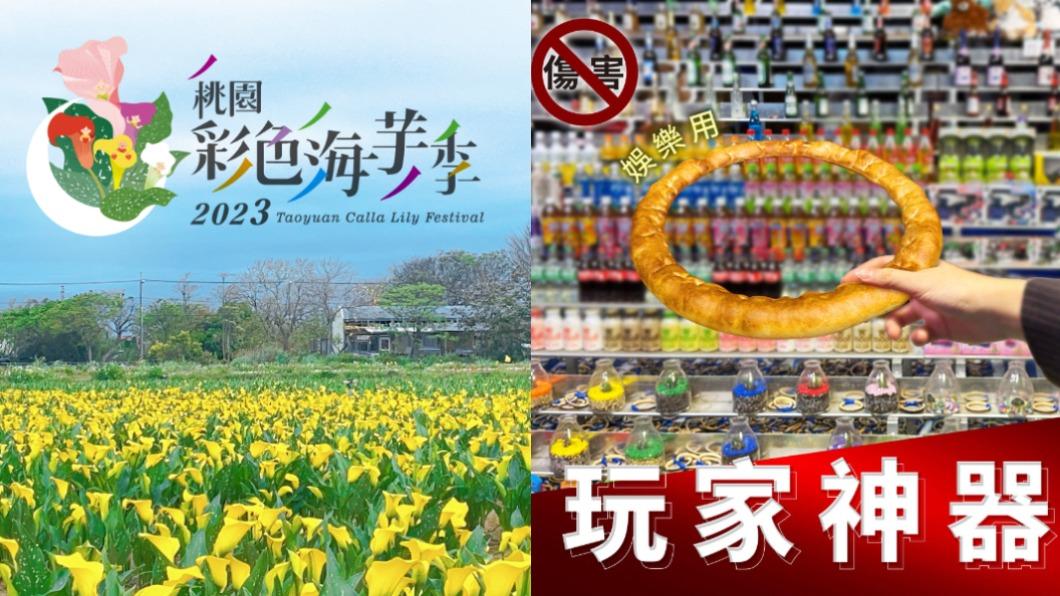 【今日熱搜】桃園海芋/必勝客/林智妍/藤浪晉太郎/地震