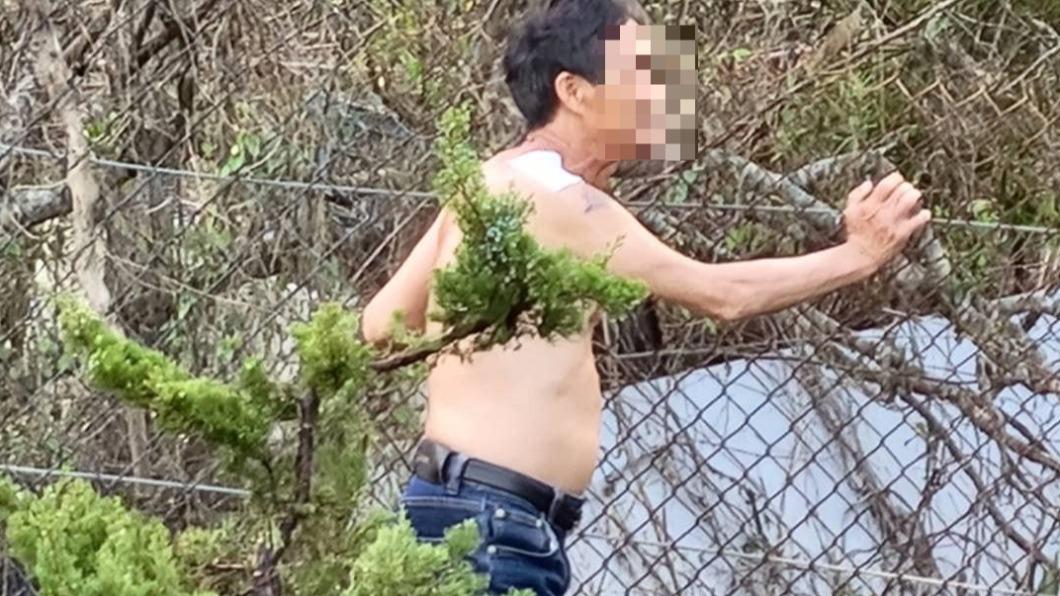 一名裸上身的中年男子先是用竹竿朝樹上撥弄。(圖/翻攝爆料公社)