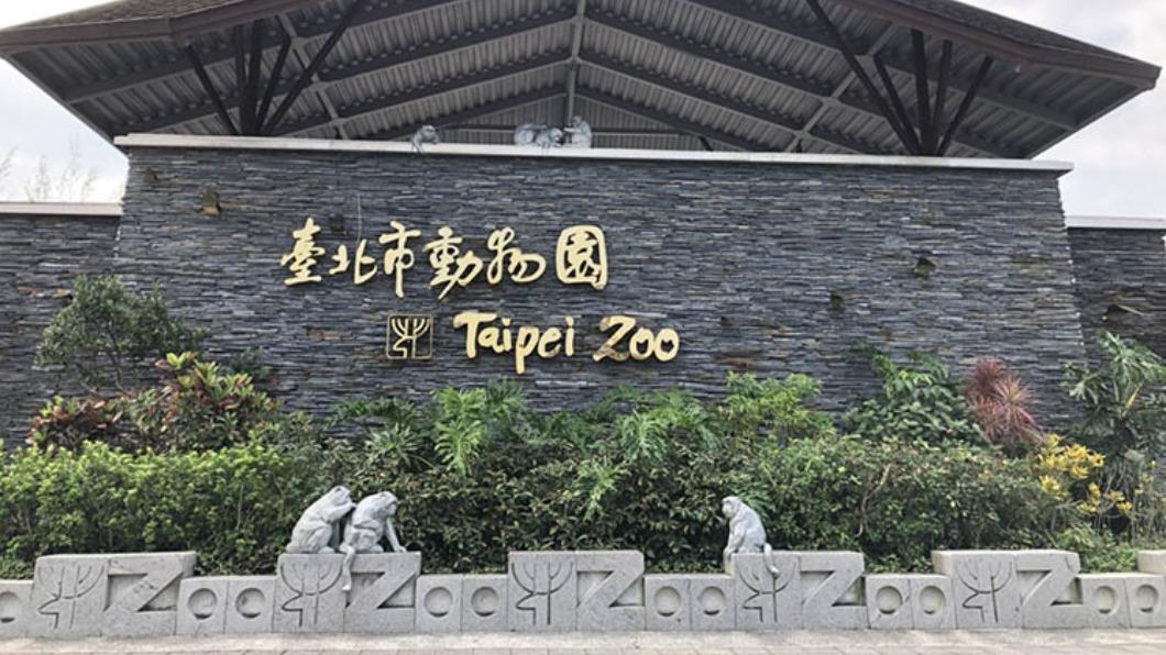 兒童節一日限定,北市動物園開放全台12歲以下孩童免費入園。(圖/台北市教育局提供)