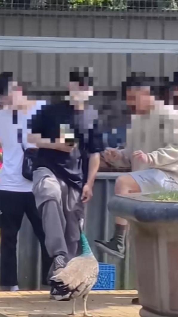 年輕男子們的惡劣行徑引發網友怒火。(圖/翻攝自爆料公社)