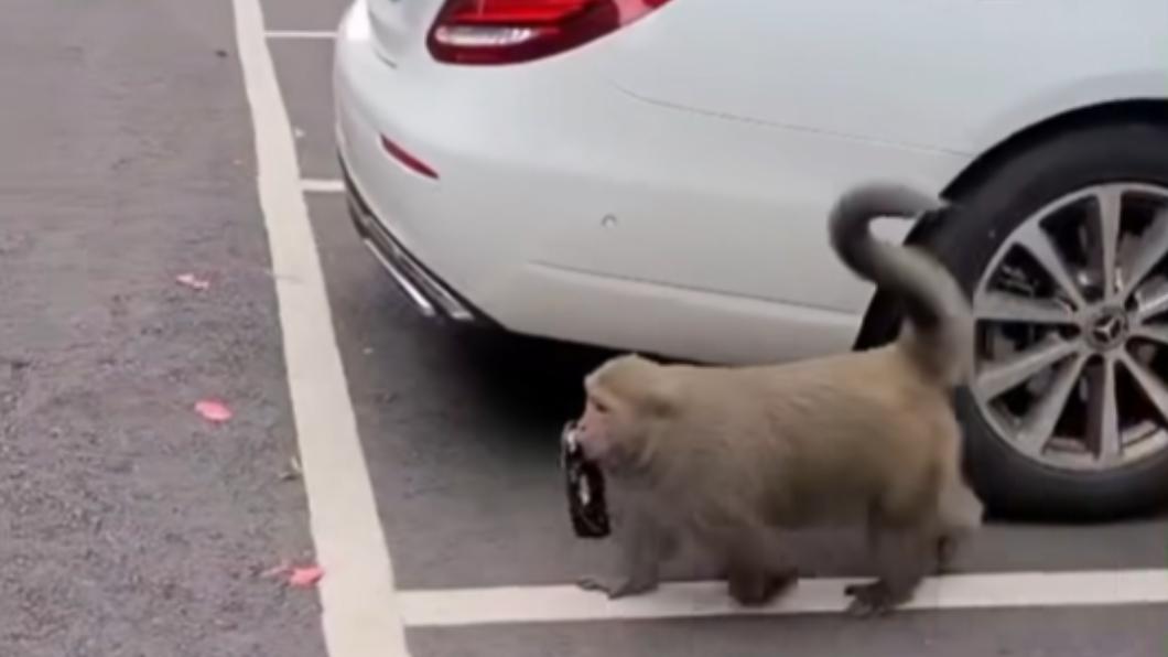 黑手美猴王!連假出遊遭「狠拆後照鏡」賓士車主:心在淌血