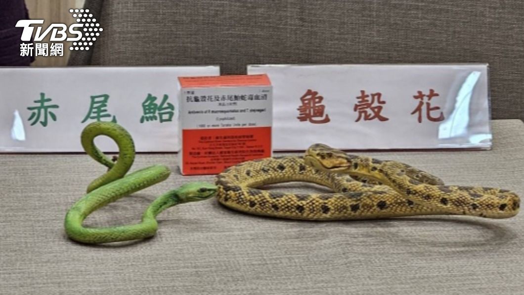 台灣6大毒蛇咬傷排名出爐 用嘴吸毒、冰敷全NG