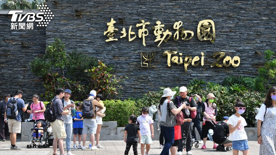 動物園門票今起漲價!台北人齊喊「300也去」:佛到爆