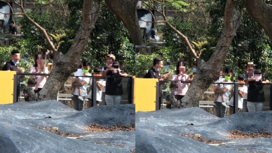 家長帶小孩到壽山動物園,孩子丟擲食物餵黑猩猩,家長竟還支援食物。(圖/翻攝自爆料公社)