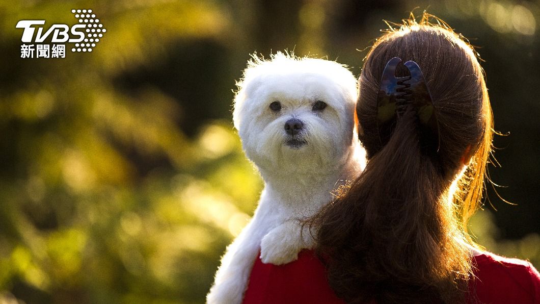 掐死愛犬「好興奮」!桃園女燒蛙虐狗喊紓壓 驚悚行徑曝
