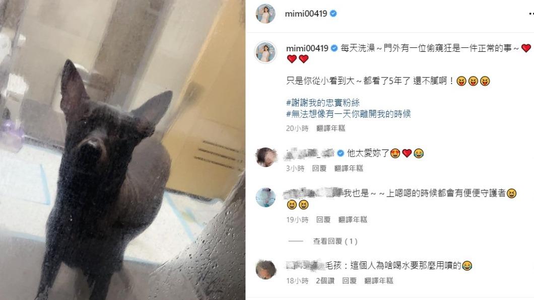 米可白昨日洗澡被黑寶「偷窺」。(圖/翻攝自米可白IG)