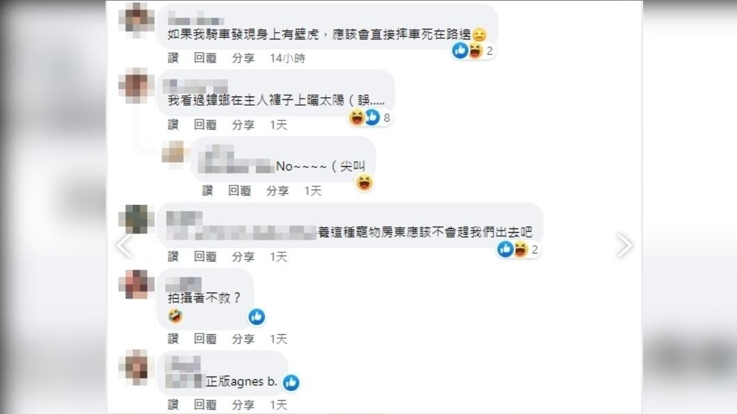 有趣畫面引來網友熱議。(圖/翻攝自路上觀察學院臉書)
