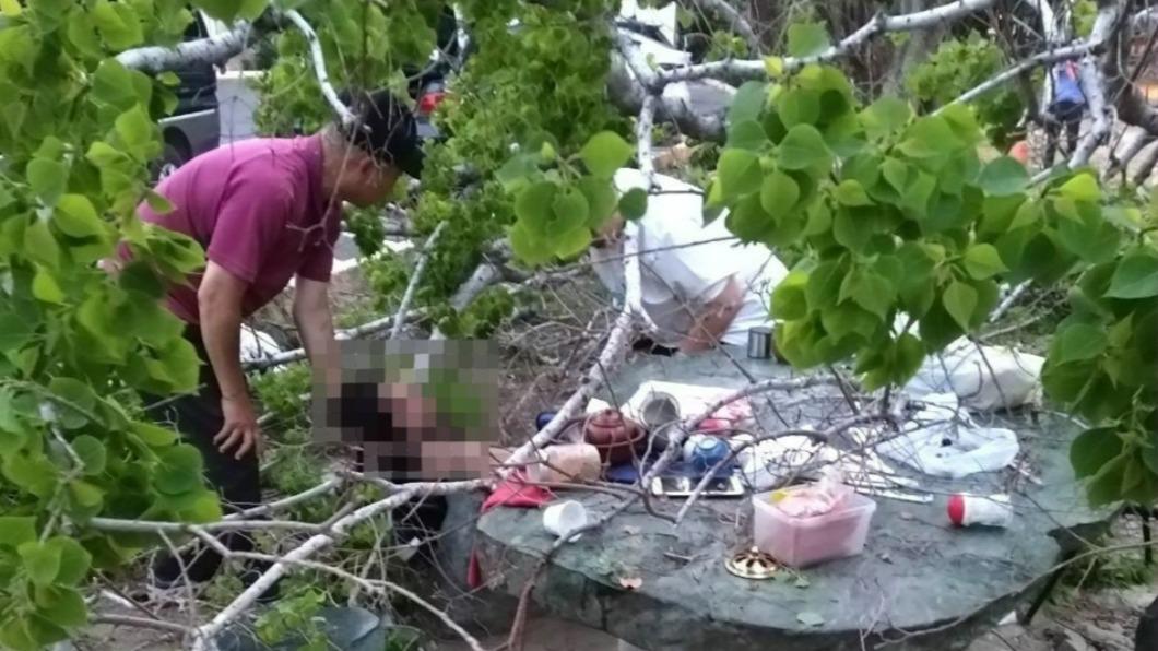 樹倒9旬嬤遭砸住院，兒回現場找假牙。（圖／菜公里長王振華提供）
