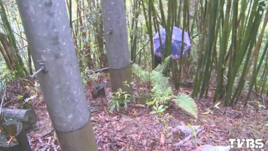 男子爬山時遭斷纜線電死，台電判賠1615萬餘元。（圖／TVBS資料畫面）