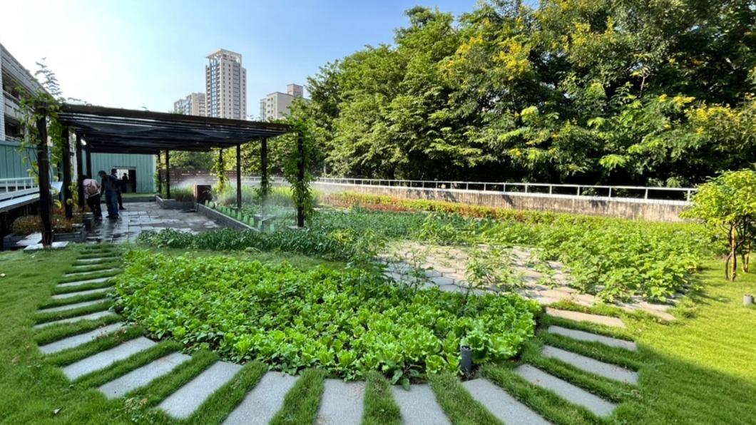 高市立體綠化屋頂花園補助 受理申請至5月底