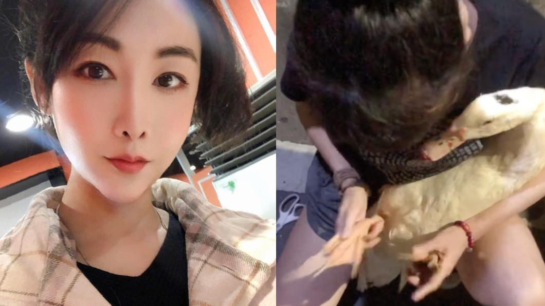 不顧沖煞!正妹衝「送肉粽」現場救受傷鴨 心疼喊得救了