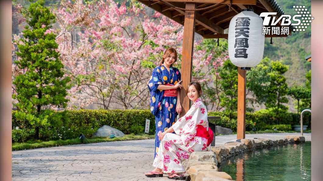 六龜花旗木浪漫迎賓 高雄賞花泡湯抽獎送好康