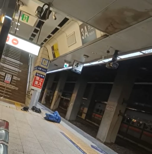 火車駛離後，婦人往另向月台走，行李遺留在地。（圖／翻攝自臉書）